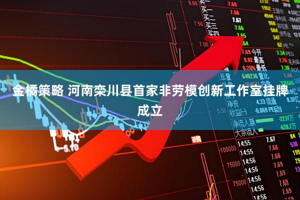 金橘策略 河南栾川县首家非劳模创新工作室挂牌成立