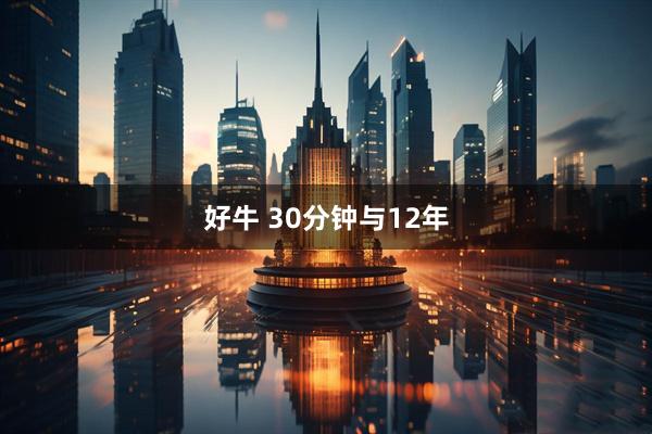 好牛 30分钟与12年