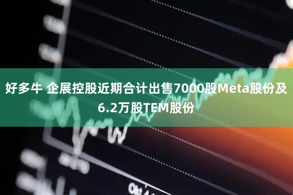 好多牛 企展控股近期合计出售7000股Meta股份及6.2万股TEM股份