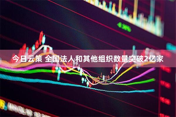 今日云策 全国法人和其他组织数量突破2亿家