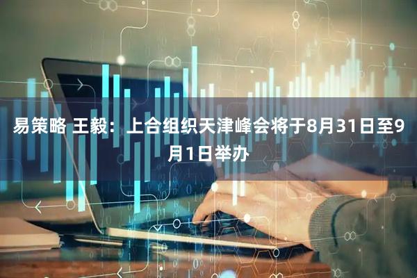 易策略 王毅：上合组织天津峰会将于8月31日至9月1日举办