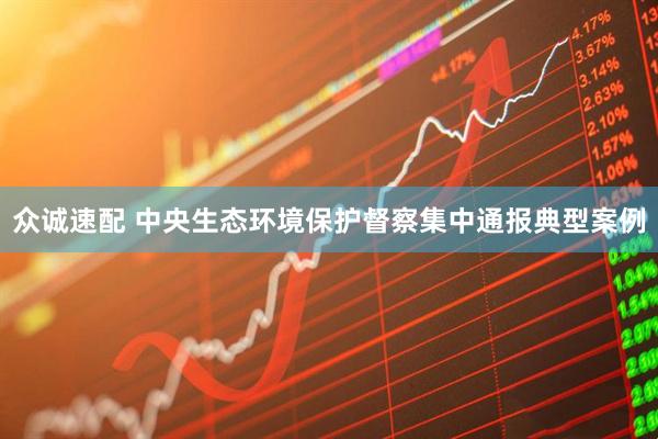 众诚速配 中央生态环境保护督察集中通报典型案例